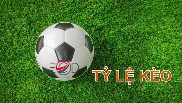 Kinh nghiệm soi kèo chấp cá cược thể thao