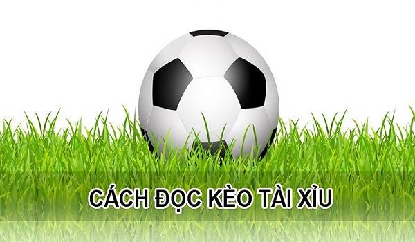 Dù dễ cũng không nên cược theo cảm xúc